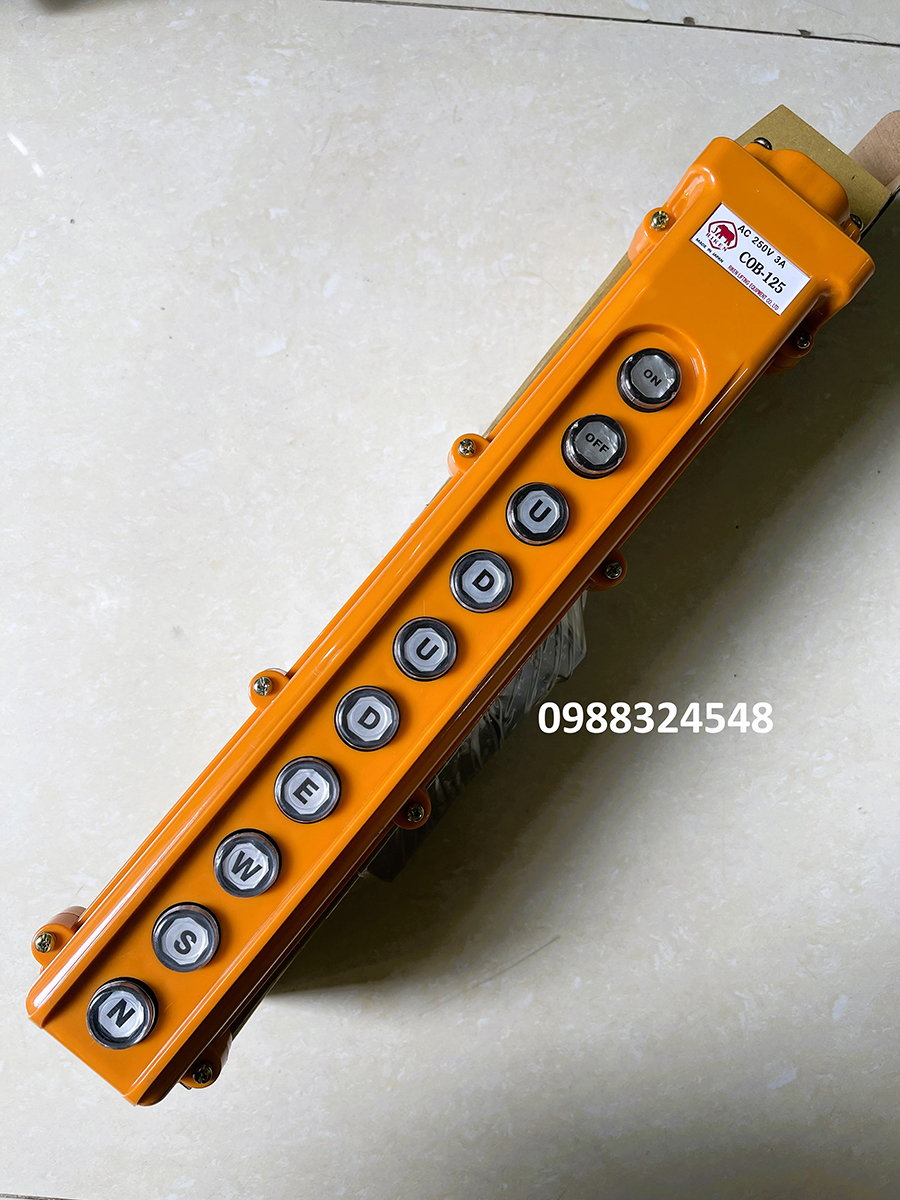 Tay điều khiển cầu trục 10 nút Riken COB125